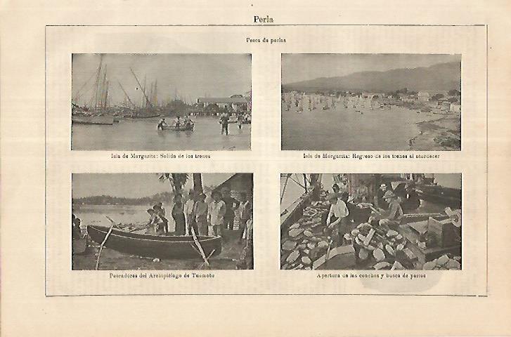 LAMINA ESPASA 18020: Pesca de perla