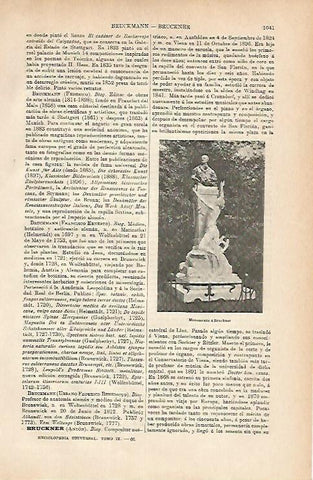 LAMINA ESPASA 11792: Monumento a Brucker