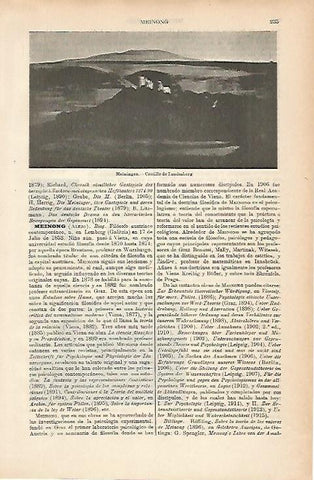 LAMINA ESPASA 11593: Castillo de Landesberg