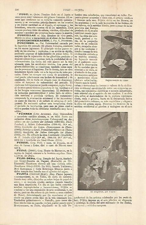 LAMINA ESPASA 11348: El despertar por Fujita