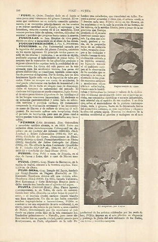 LAMINA ESPASA 11348: El despertar por Fujita