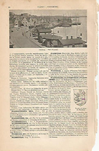 LAMINA ESPASA 3358: Puerto de Flensburg Alemania