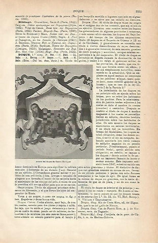 LAMINA ESPASA 3183: Armas del Duque de Castro Enrique