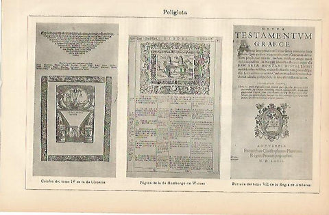 LAMINA ESPASA 3349: Ejemplos de poliglota
