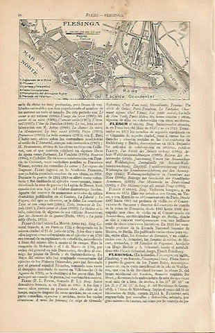 LAMINA ESPASA 3360: Plano de Flesinga Holanda