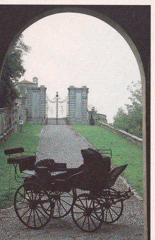 POSTAL B9279: TORINO: CASTILLO MASINO