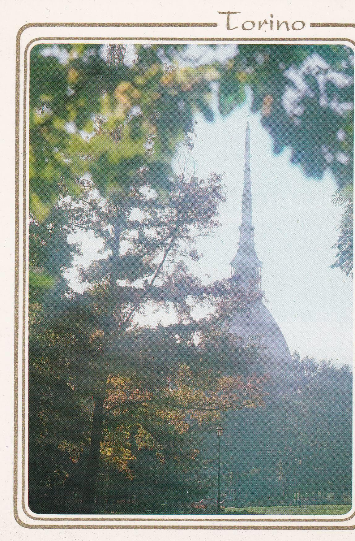 POSTAL B9296: TORINO: JARDINES REALES