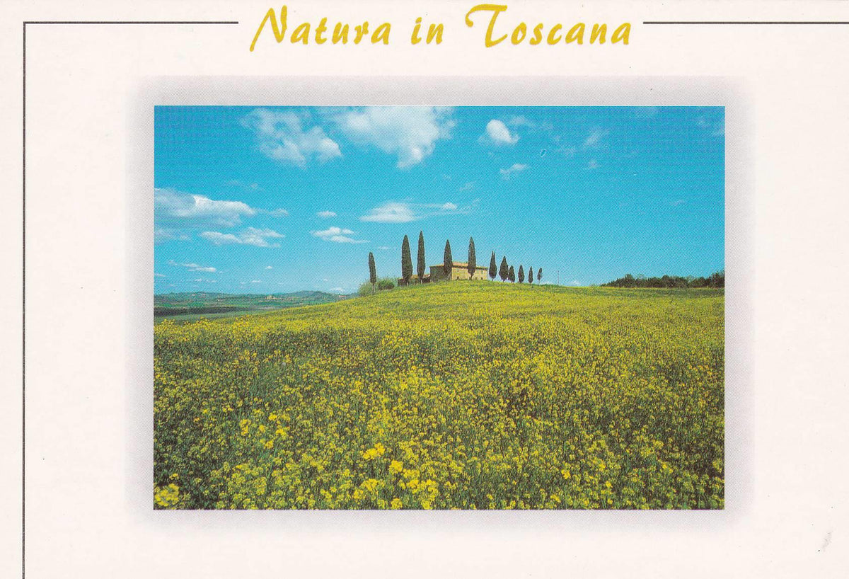 POSTAL B9312: TOSCANA: VISTA PANORAMICA