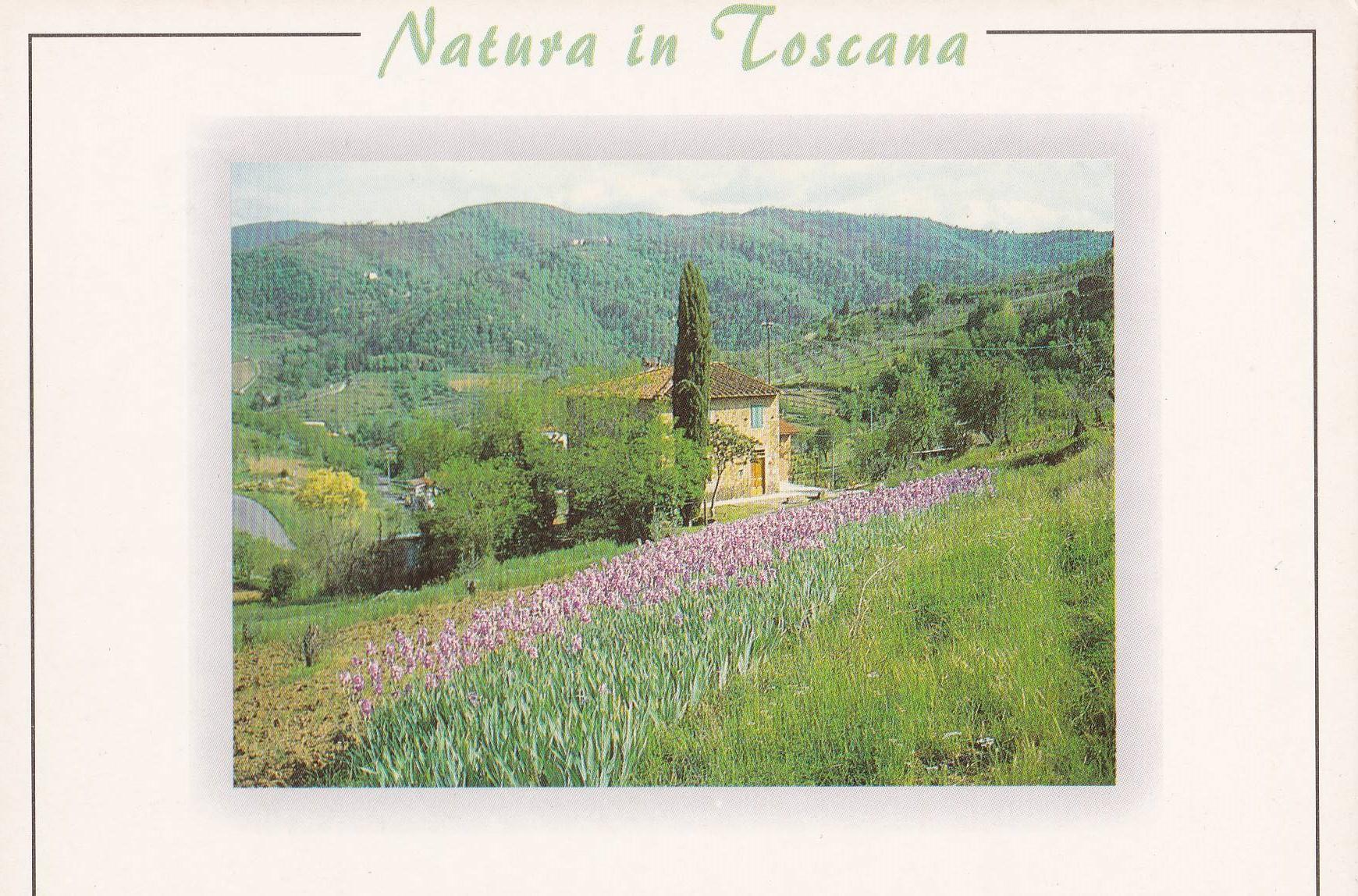 POSTAL B9314: TOSCANA: VISTA PANORAMICA