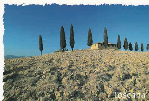 POSTAL B9315: TOSCANA: LA CAMPAÑA