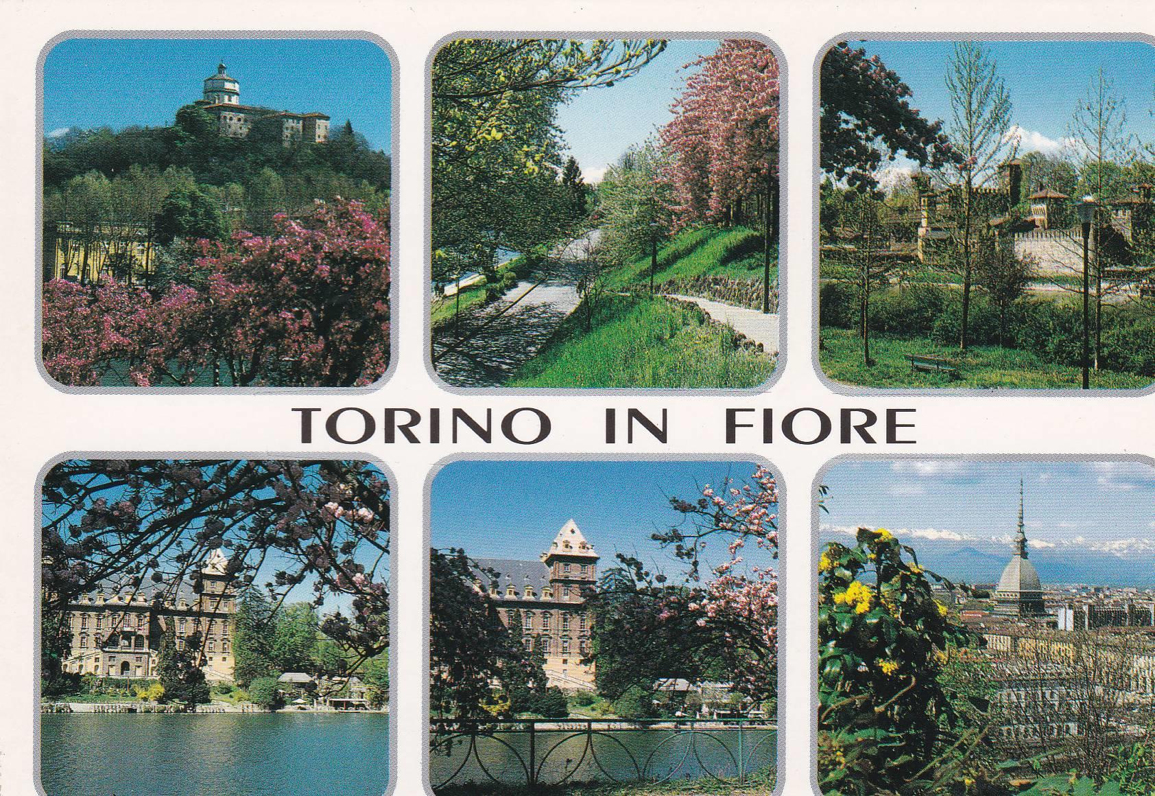 POSTAL B9318: TORINO: MONTE DE LOS CAPUCHINOS