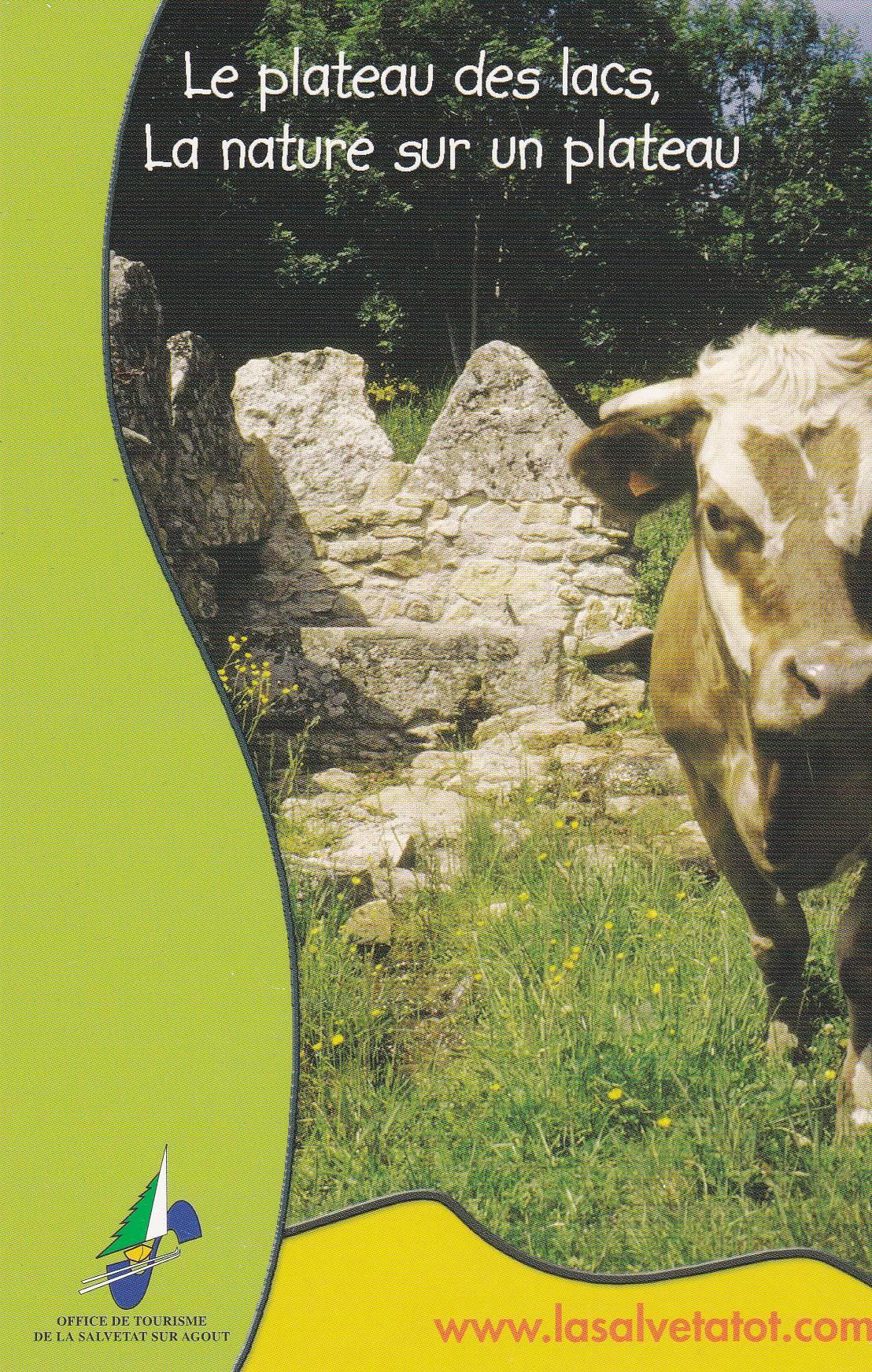 POSTAL B9350: SALVETAT SUR AGOUT: CAMPAÑA AGRICULTURA