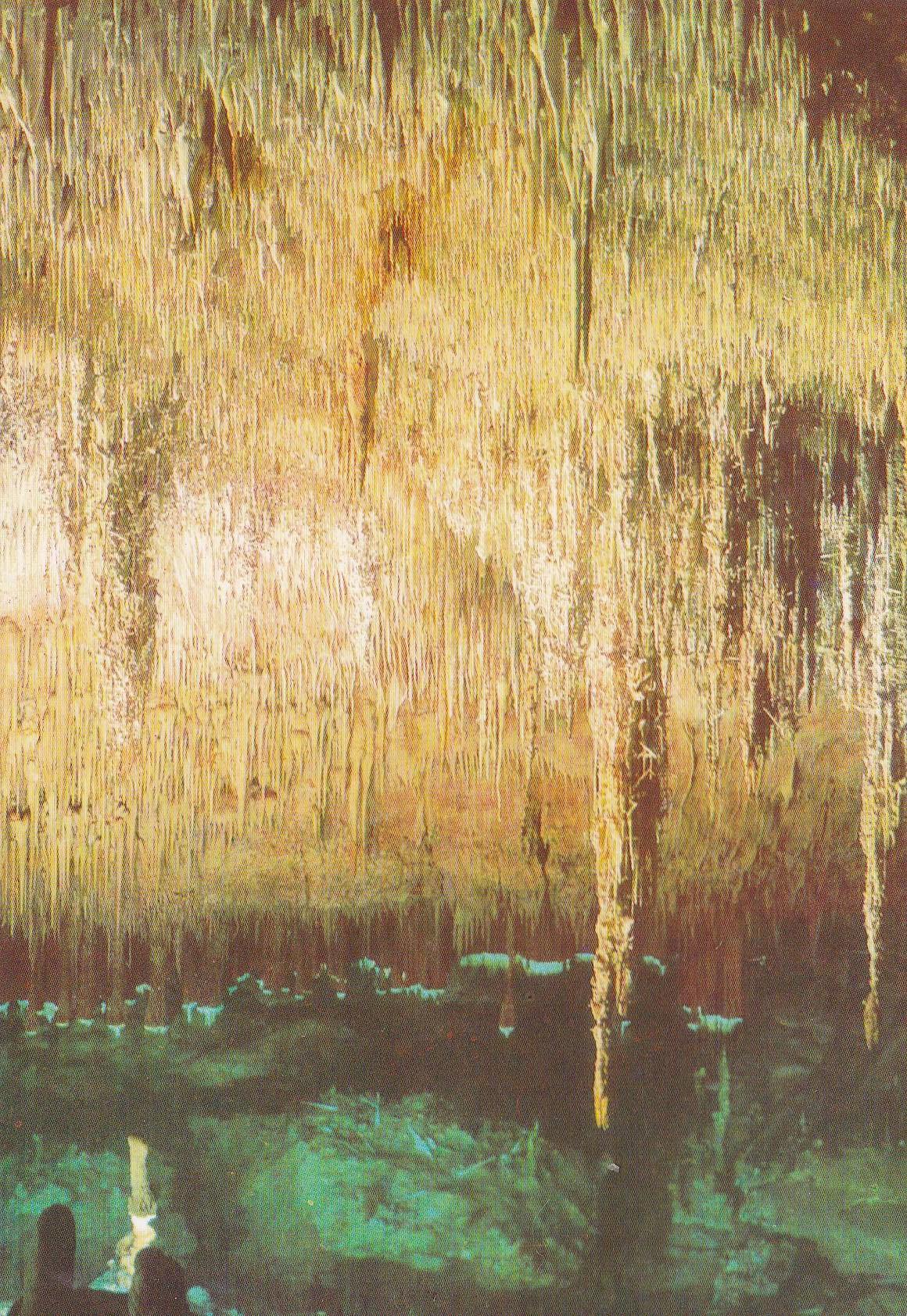 POSTAL B9360: MALLORCA: CUEVAS DEL DRACH