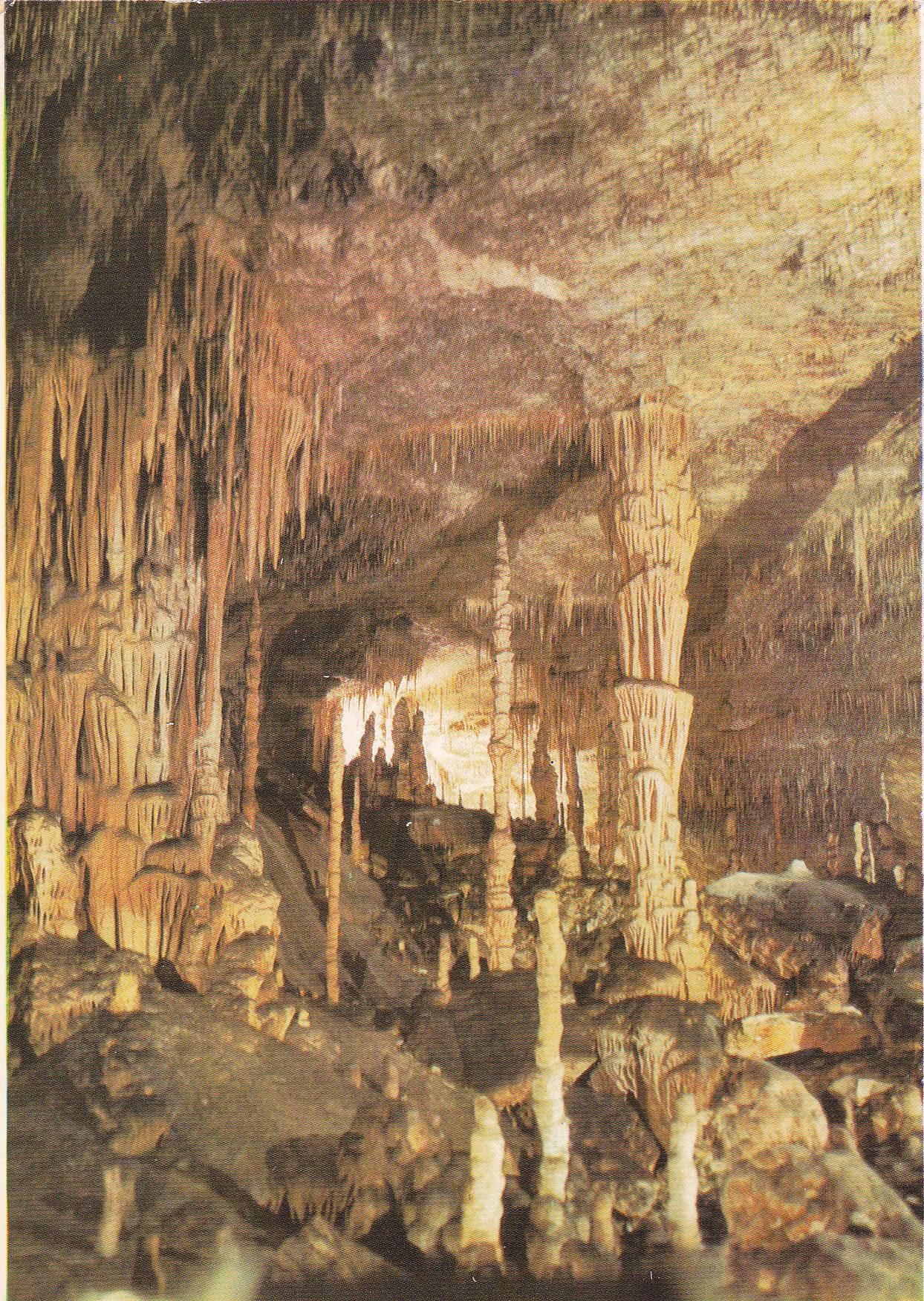 POSTAL B9361: MALLORCA: CUEVAS DEL DRACH