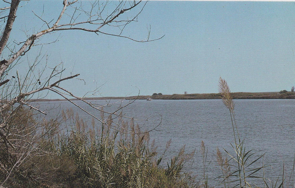 POSTAL B9429: VISTA PARCIAL DEL EBRO