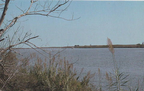 POSTAL B9429: VISTA PARCIAL DEL EBRO