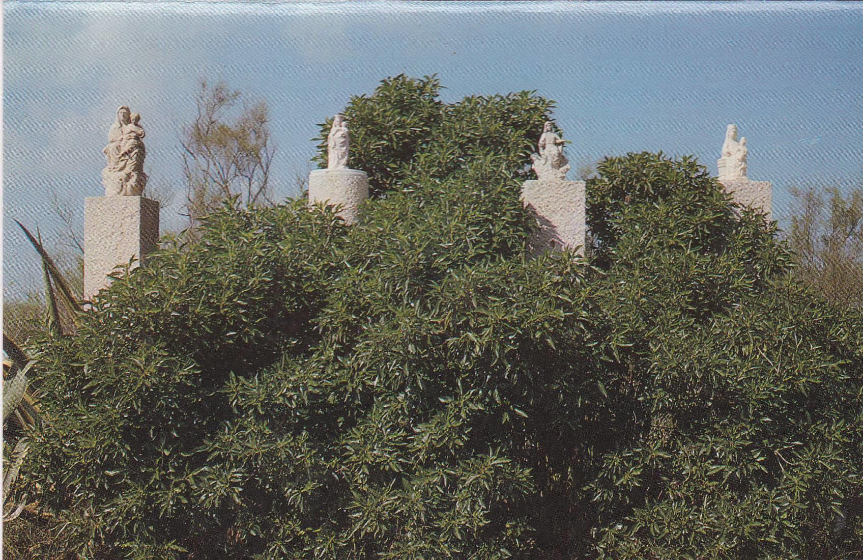 POSTAL B9430: VISTA PARCIAL DEL EBRO