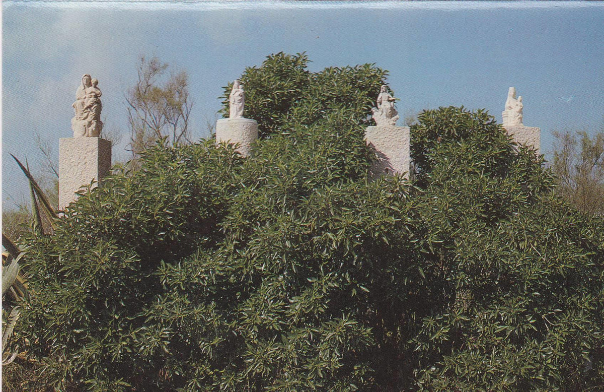 POSTAL B9430: VISTA PARCIAL DEL EBRO