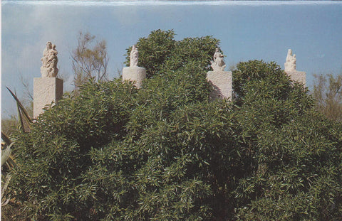 POSTAL B9430: VISTA PARCIAL DEL EBRO