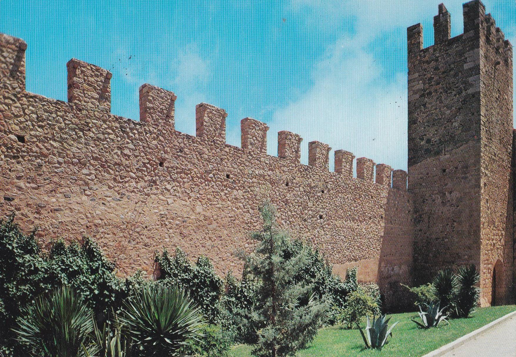 POSTAL B9431: VISTA PARCIAL DEL EBRO