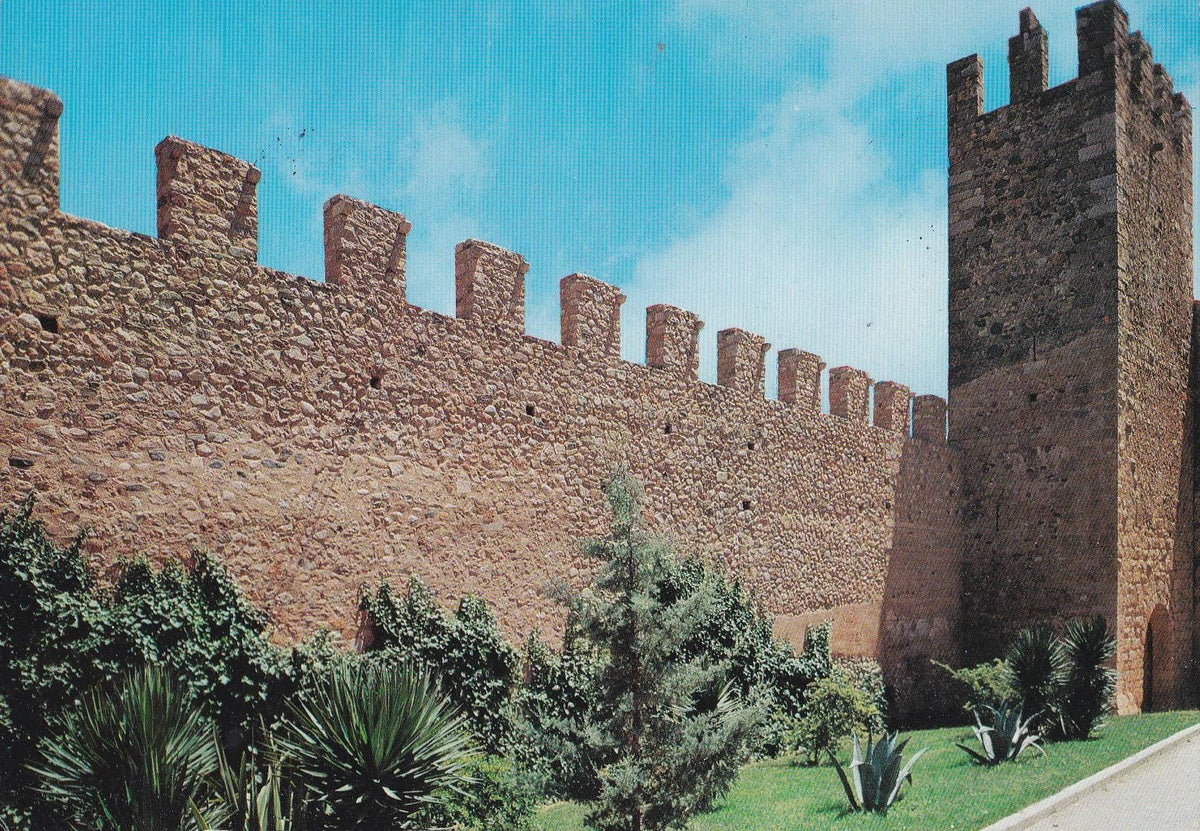 POSTAL B9431: VISTA PARCIAL DEL EBRO