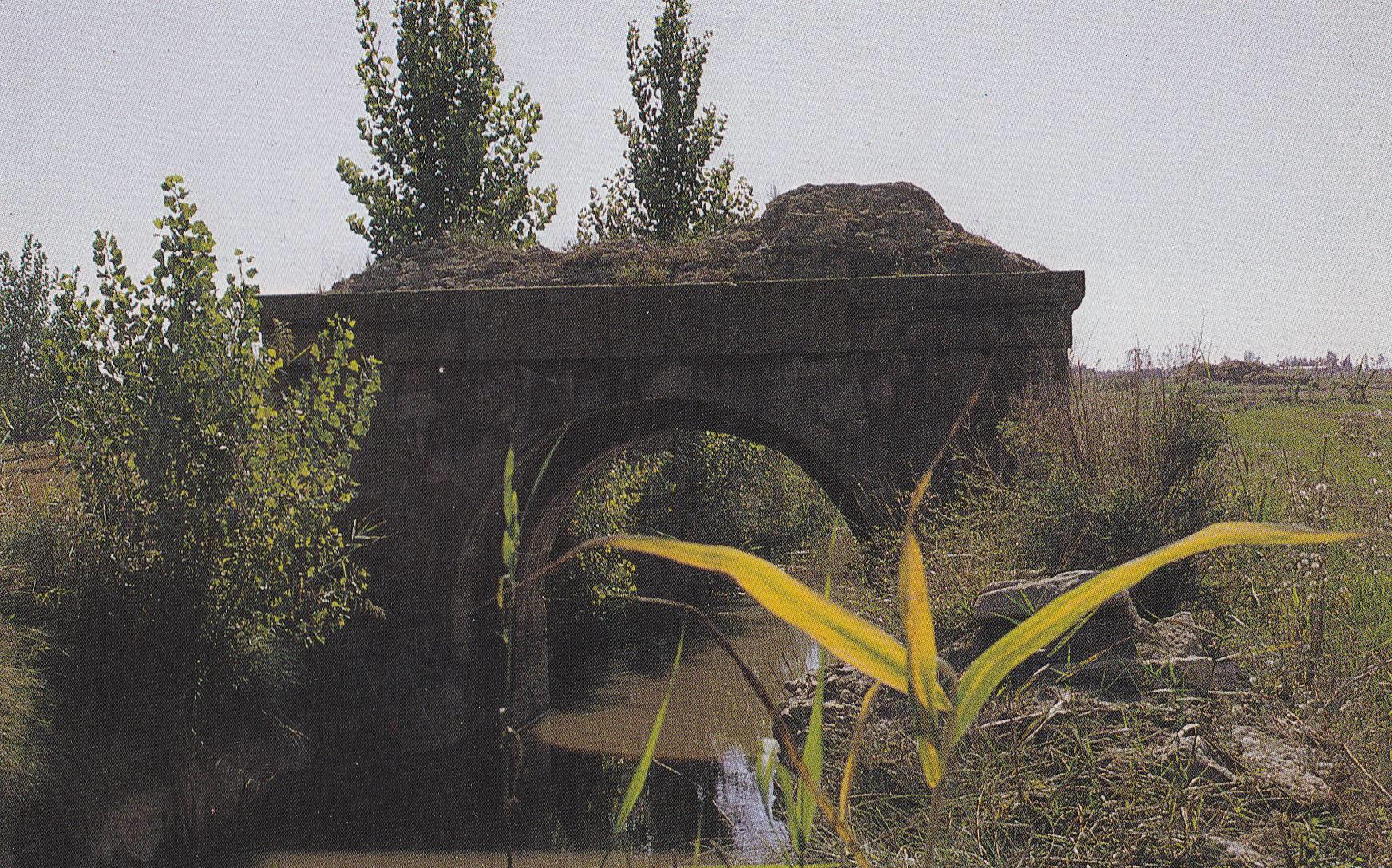 POSTAL B9432: VISTA PARCIAL DEL EBRO. PONTS DE REI