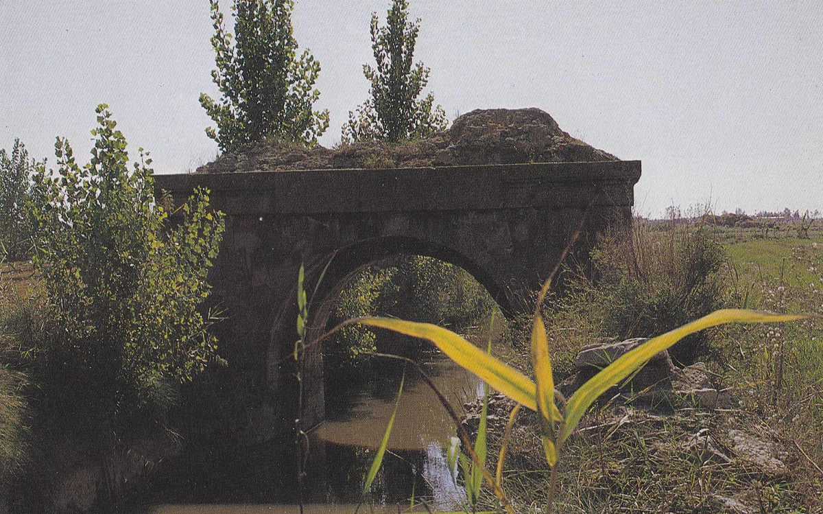 POSTAL B9432: VISTA PARCIAL DEL EBRO. PONTS DE REI