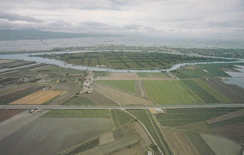 POSTAL B9435: TARRAGONA: DELTA DEL EBRO