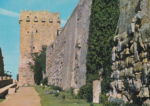 POSTAL B9449: TARRAGONA: PASEO ARQUEOLOGICO