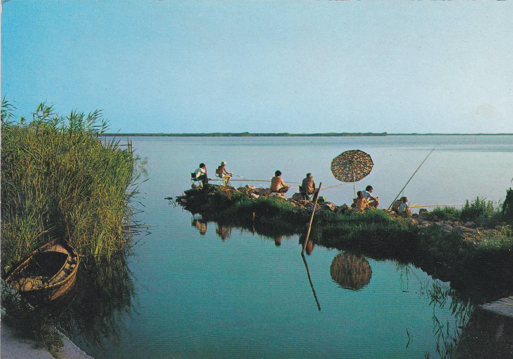 POSTAL B9475: LA ALBUFERA: DIVERSOS ASPECTOS