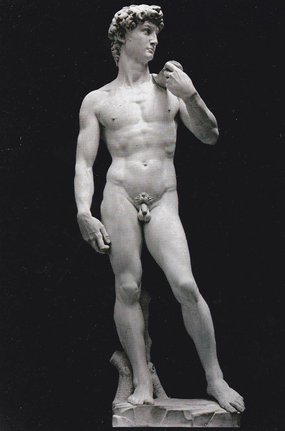 POSTAL B9495: FIRENZE: DAVID DE MECHELLANGELO