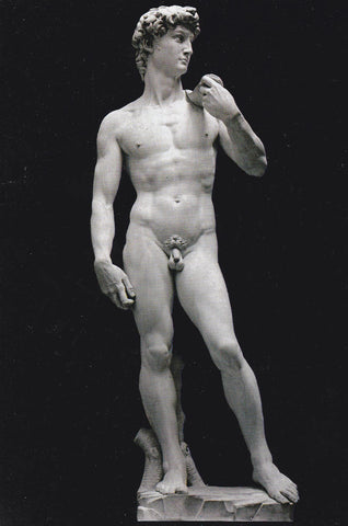 POSTAL B9495: FIRENZE: DAVID DE MECHELLANGELO