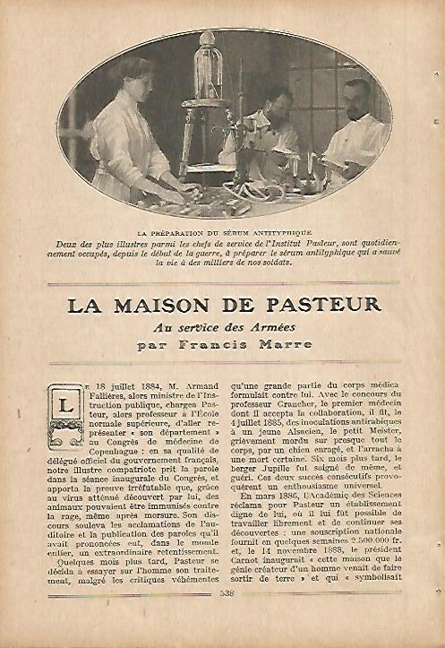 LAMINA 12064: Preparacion de serum en el Instituto Pasteur