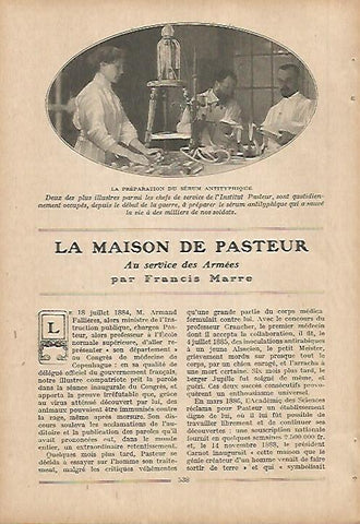 LAMINA 12064: Preparacion de serum en el Instituto Pasteur