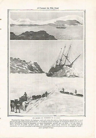 LAMINA 12123: Medios de transporte en el hielo