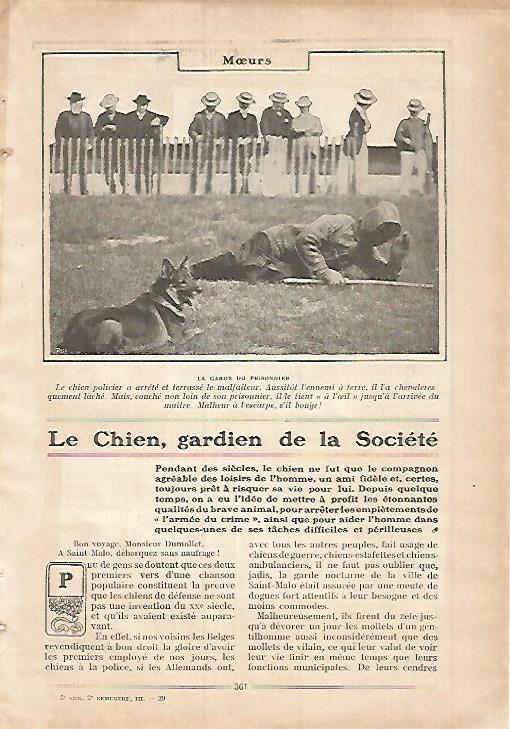 LAMINA 12136: Perro vigilando a un prisionero