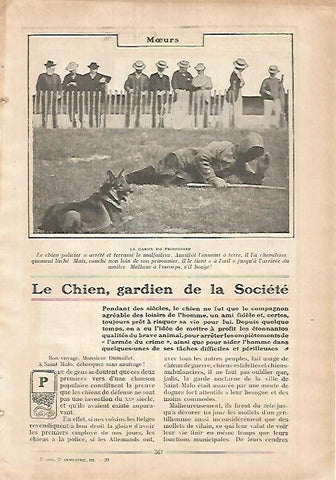 LAMINA 12136: Perro vigilando a un prisionero