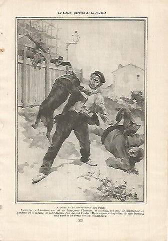 LAMINA 12138: Perros atacando a un ladron