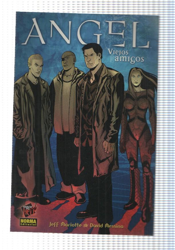 Made in Hell 47. Comic Angel: Viejos amigos (julio 2007). Jeff Mariotte - David Mesina