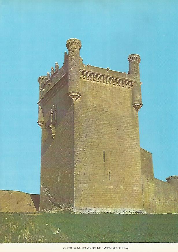 Lamina 12197: Castillo de Belmonte de Campos Palencia