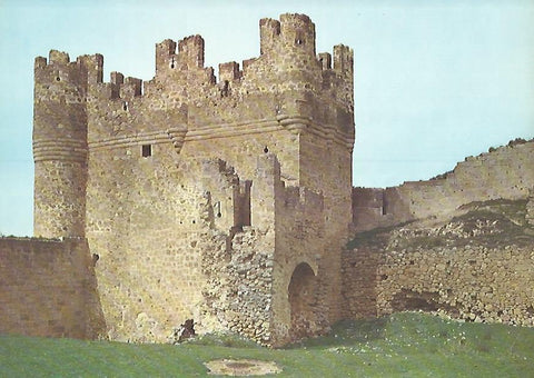 Lamina 12200: Castillo de Berlanga de Duero Soria
