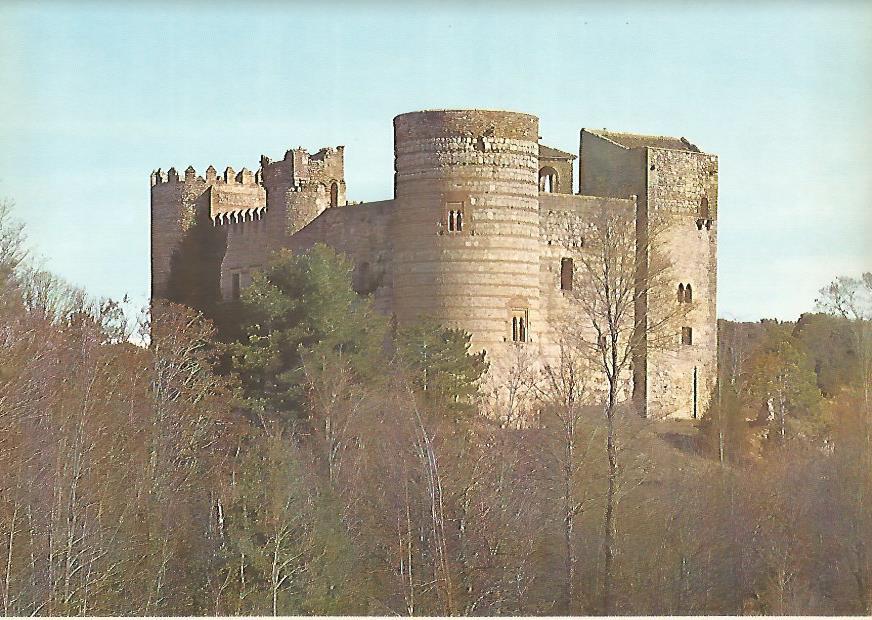 Lamina 12206: Castillo de Castilnovo Segovia