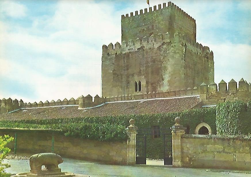 Lamina 12208: Castillo de Ciudad Rodrigo Salamanca