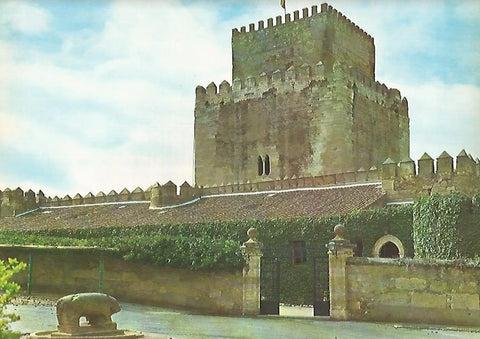 Lamina 12208: Castillo de Ciudad Rodrigo Salamanca
