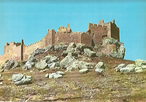 Lamina 12216: Castillo de Gormaz Soria