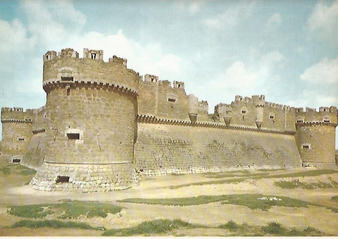 Lamina 12217: Castillo de Grajal de los Campos Leon