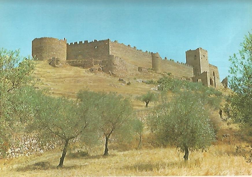 Lamina 12238: Castillo de Medellin Badajoz