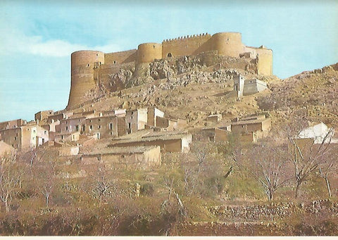 Lamina 12239: Castillo-Palacio de Mesones de Isuela Zaragoza