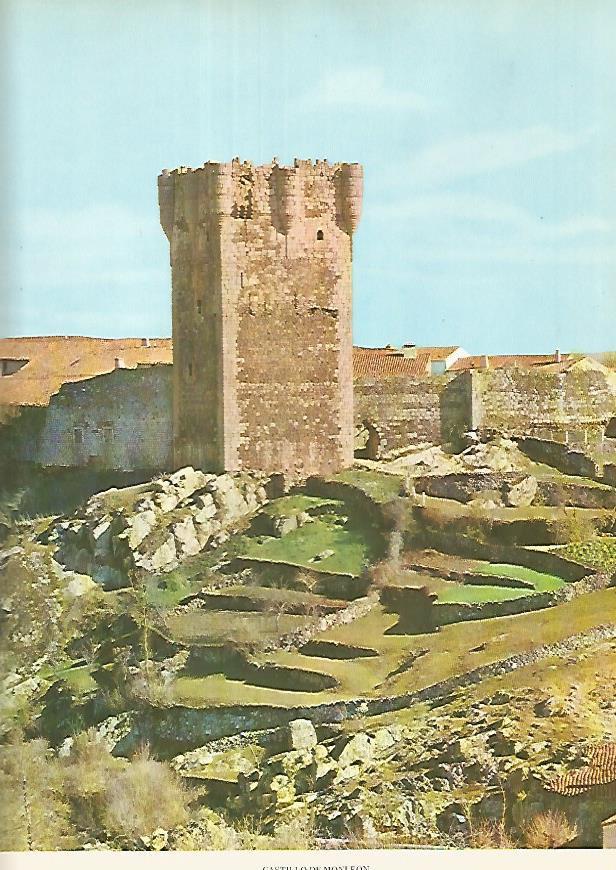 Lamina 12240: Castillo de Monleon Salamanca