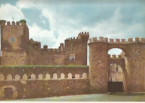 Lamina 12241: Palacio-castillo de Monroy Caceres